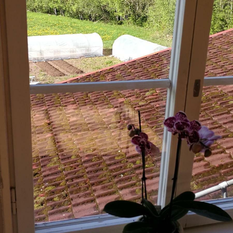 Sjugare Gard Bed & Breakfast 雷克桑德 外观 照片